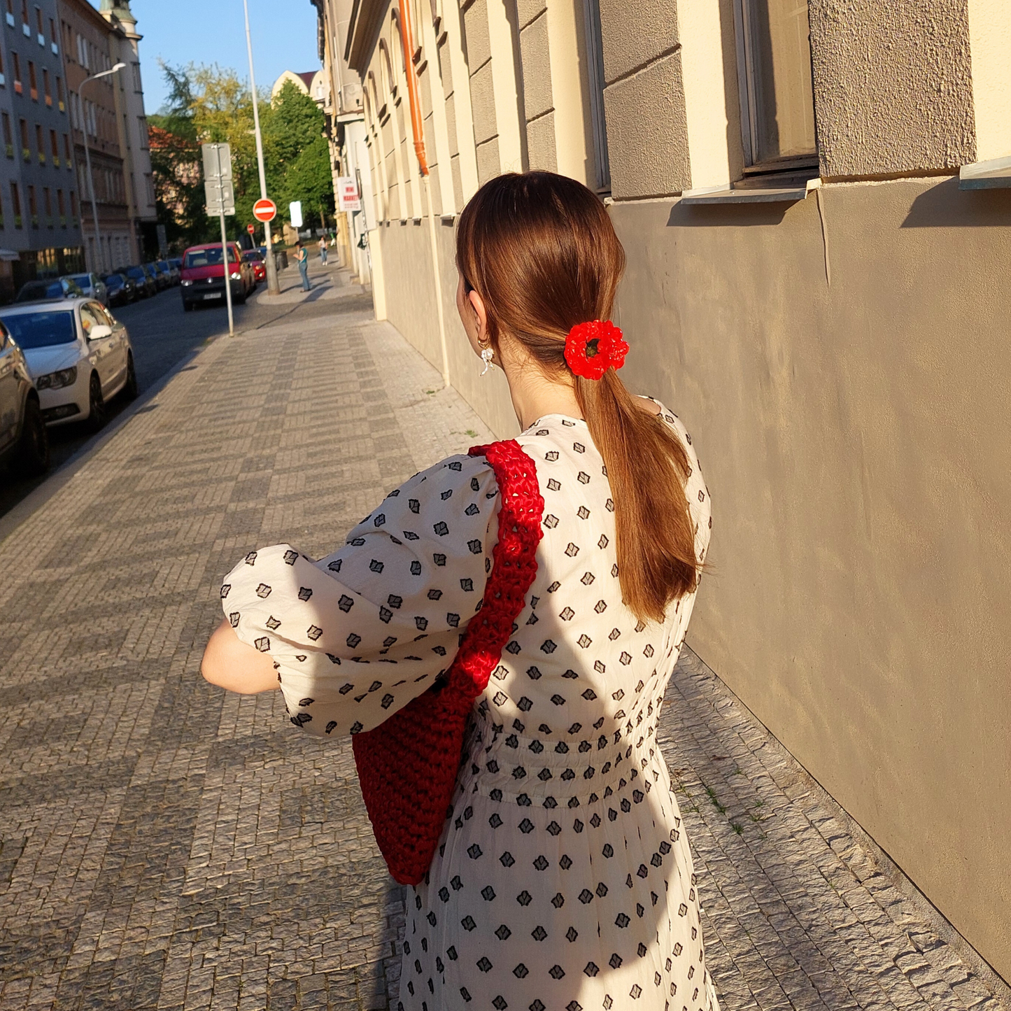 POMODORO hair claw