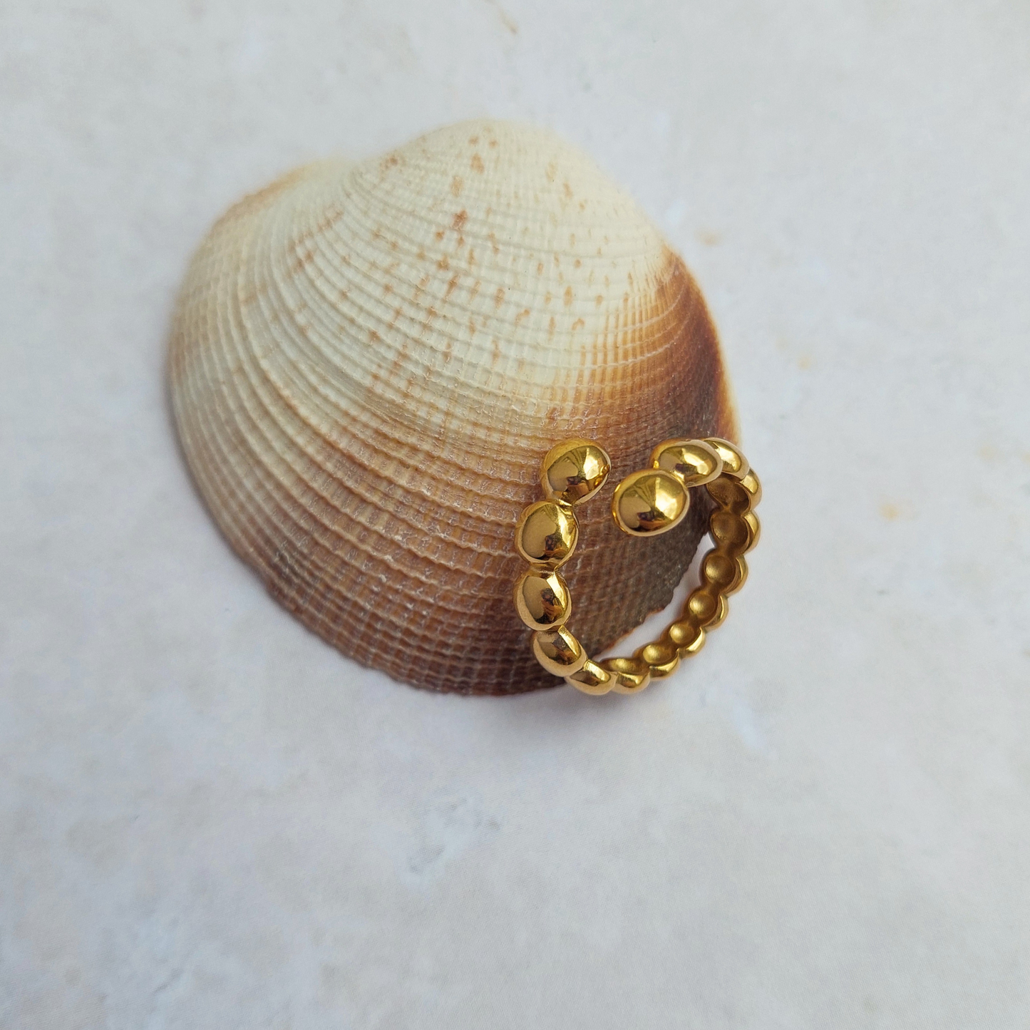 INSIEME ring
