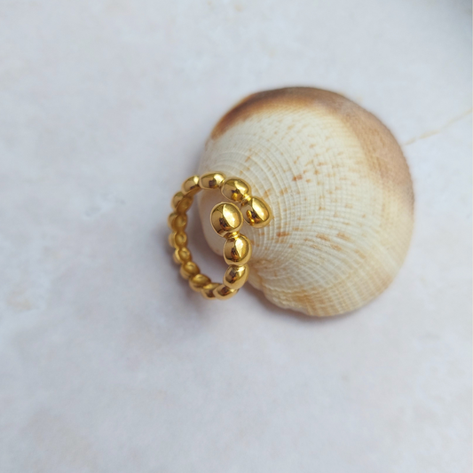 INSIEME ring