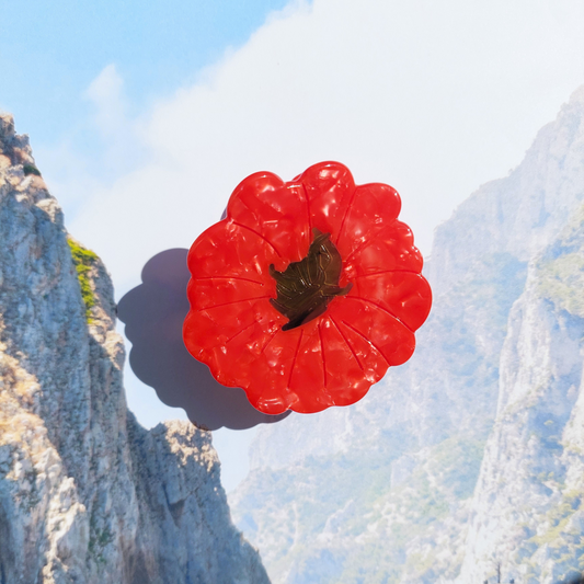 POMODORO hair claw
